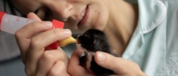 Film still, kitten being fed from bottle