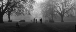 Still Black and white image of London park in the fog