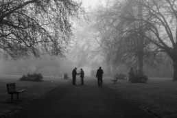Still Black and white image of London park in the fog